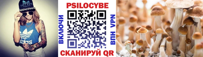 сайты даркнета Telegram  Липецк  Галлюциногенные грибы прущие грибы  сколько стоит 