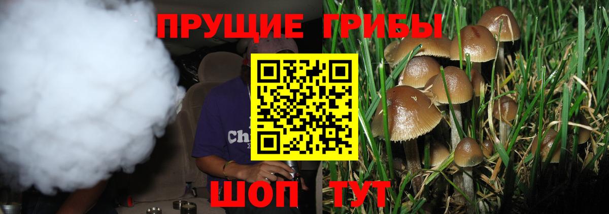 дарнет шоп  Псилоцибиновые грибы Magic Shrooms  Вход с VPN  Липецк 